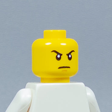 JONAK Toys UV Printed Heads- OG Ninjago [x20 Heads Per Batch]