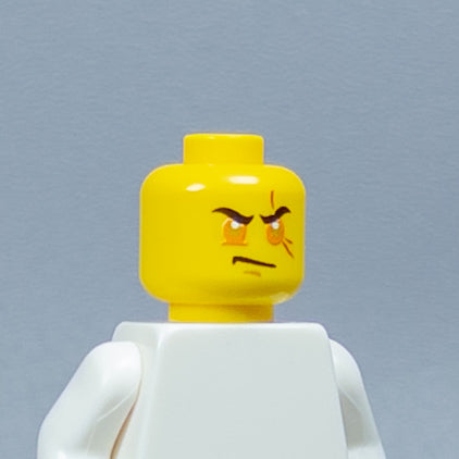 JONAK Toys UV Printed Heads- OG Ninjago [x20 Heads Per Batch]
