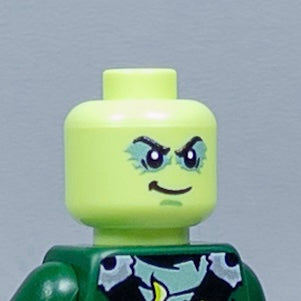 JONAK Toys UV Printed Heads- OG Ninjago [x20 Heads Per Batch]