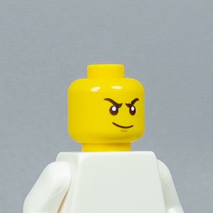 JONAK Toys UV Printed Heads- OG Ninjago [x20 Heads Per Batch]