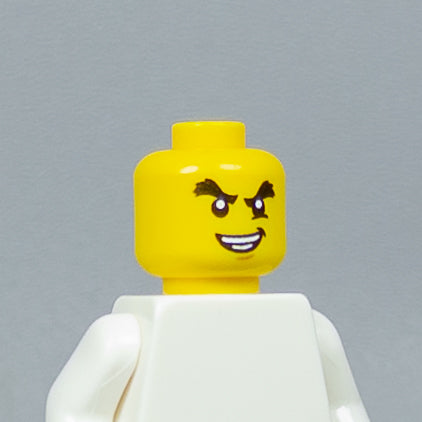 JONAK Toys UV Printed Heads- OG Ninjago [x20 Heads Per Batch]