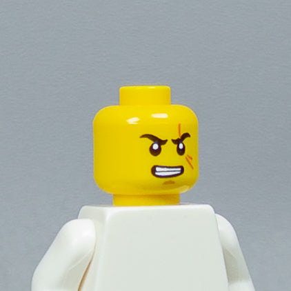 JONAK Toys UV Printed Heads- OG Ninjago [x20 Heads Per Batch]