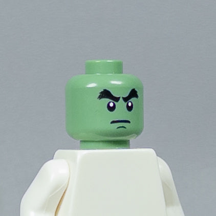 JONAK Toys UV Printed Heads- OG Ninjago [x20 Heads Per Batch]