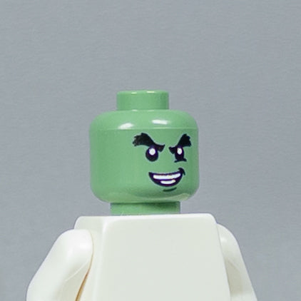 JONAK Toys UV Printed Heads- OG Ninjago [x20 Heads Per Batch]