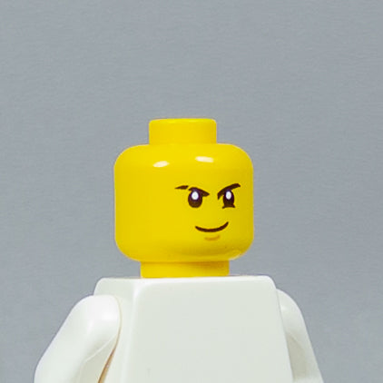 JONAK Toys UV Printed Heads- OG Ninjago [x20 Heads Per Batch]