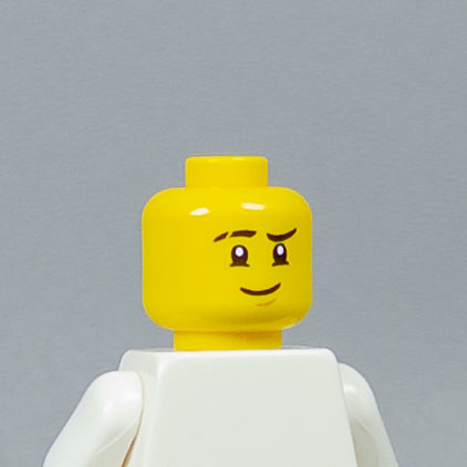 JONAK Toys UV Printed Heads- OG Ninjago [x20 Heads Per Batch]