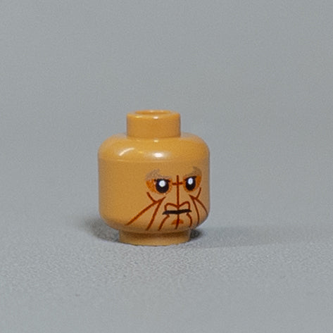 JONAK Toys UV Printed Heads- Eeth Koth [x20 Heads Per Batch]