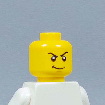 JONAK Toys UV Printed Heads- OG Ninjago [x20 Heads Per Batch]