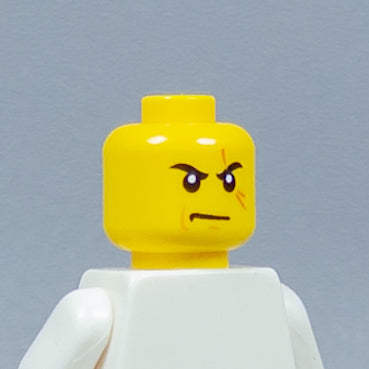 JONAK Toys UV Printed Heads- OG Ninjago [x20 Heads Per Batch]