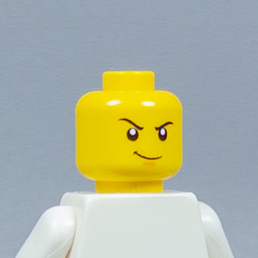 JONAK Toys UV Printed Heads- OG Ninjago [x20 Heads Per Batch]